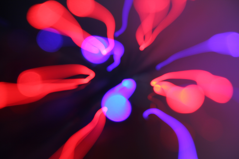 Illustration for article titled 71 Failed Photographs...That Turned Out Incredible